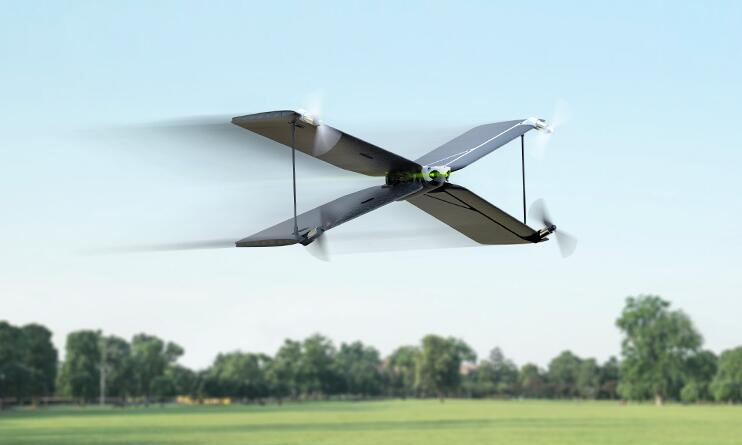 Parrot-Swing-with-Flypad